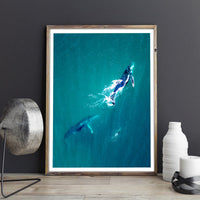 2 whales and dolphin in Australia - 2