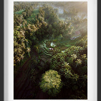 Ubud Rice Fields - 2
