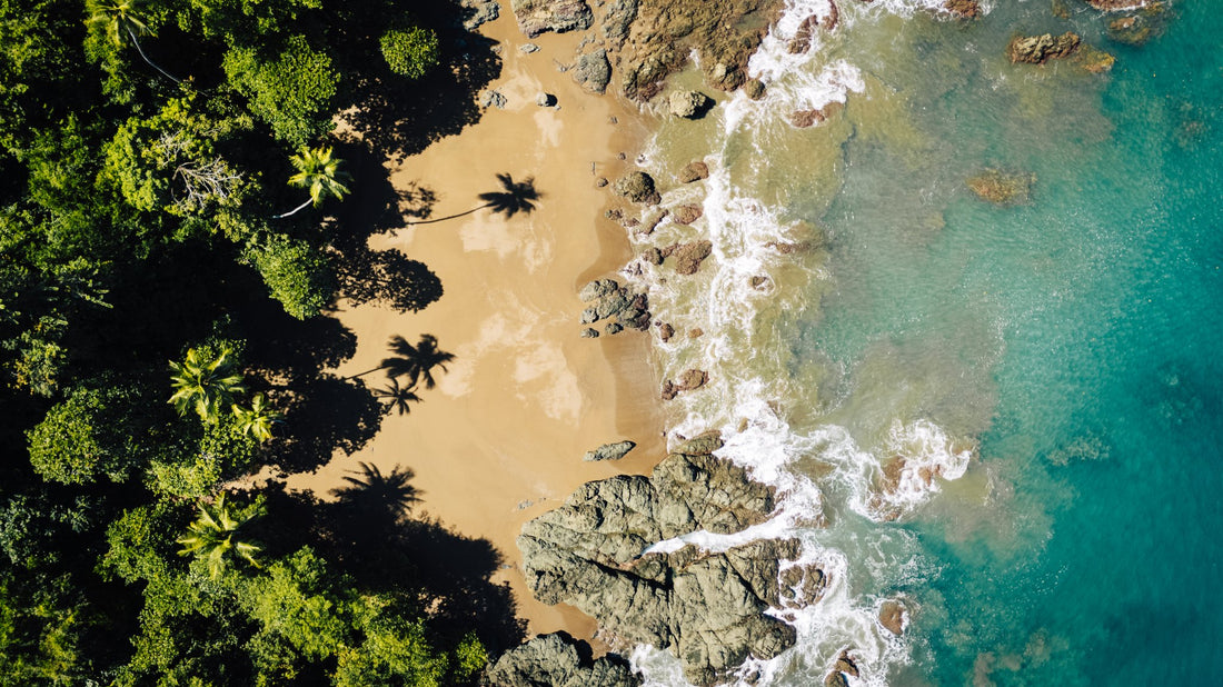 Tropical Paradise - Costa Rica - 1