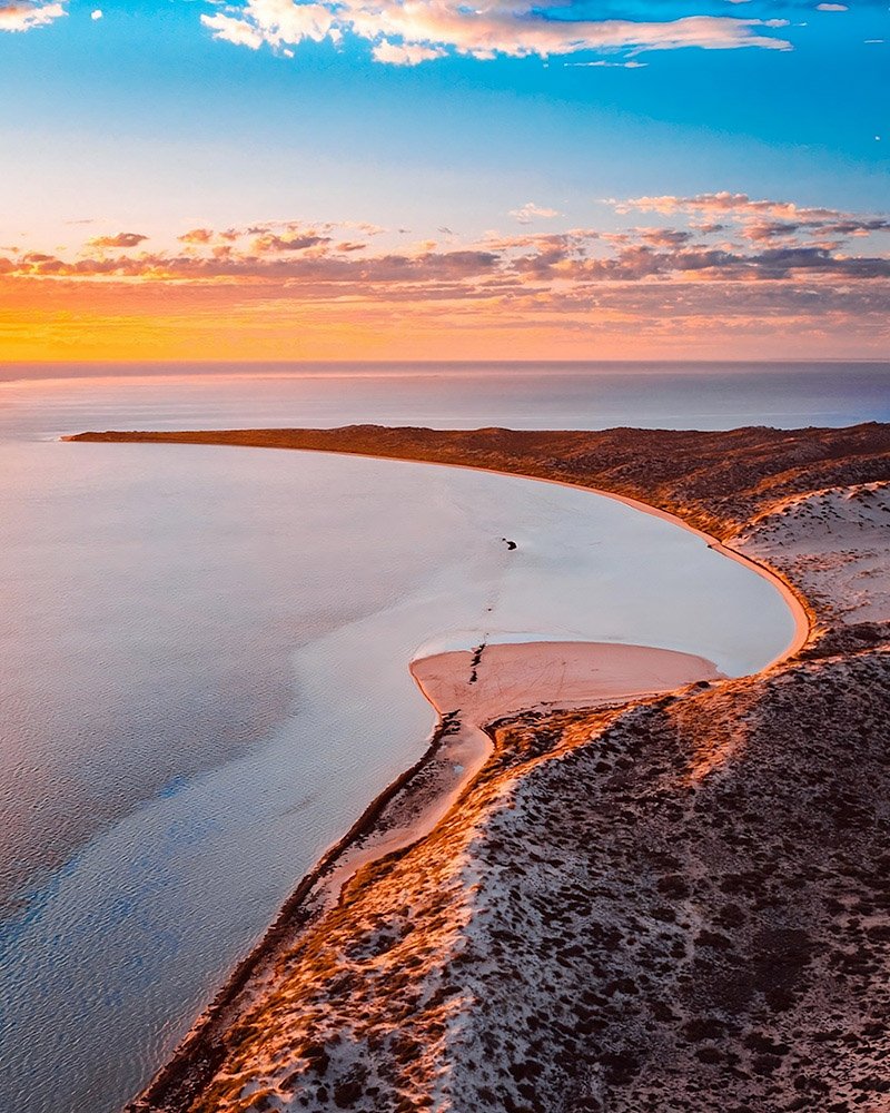 Shark Sanctuary, Coral Bay - 1
