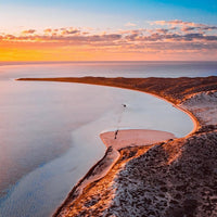 Shark Sanctuary, Coral Bay - 1