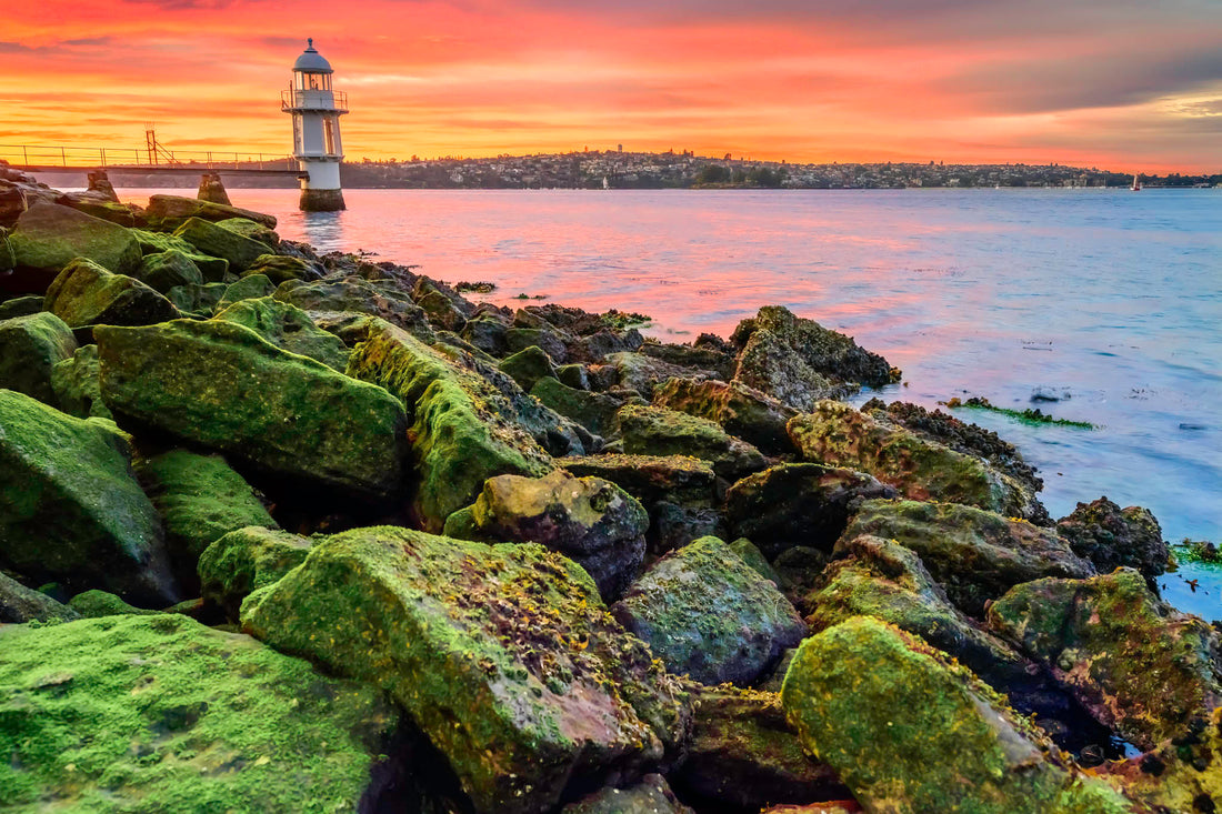 Bradleys Head Lighthouse Sydney Australia No 1 - 1