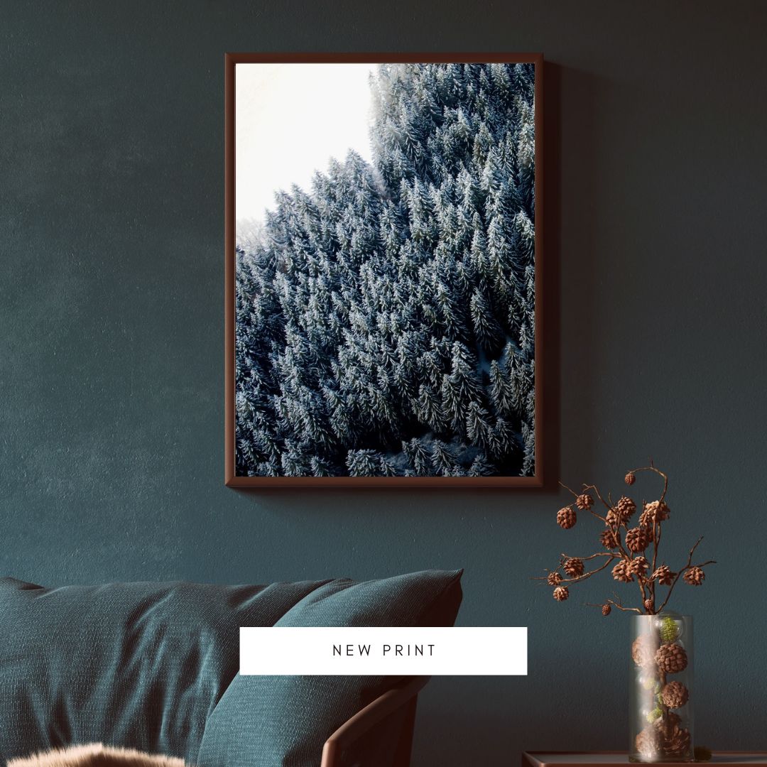 Snowy Forest Landscape Austria - Winter Christmas Decoration - 2