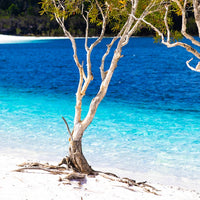 Lake McKenzie / Boorangoora - Fraser Island / K'gari, Queensland, Australia - 1