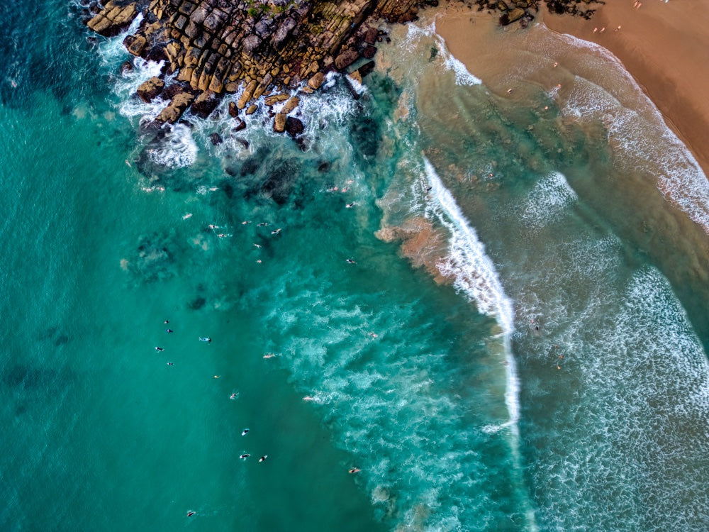 Manly - Swimmers & Surfers