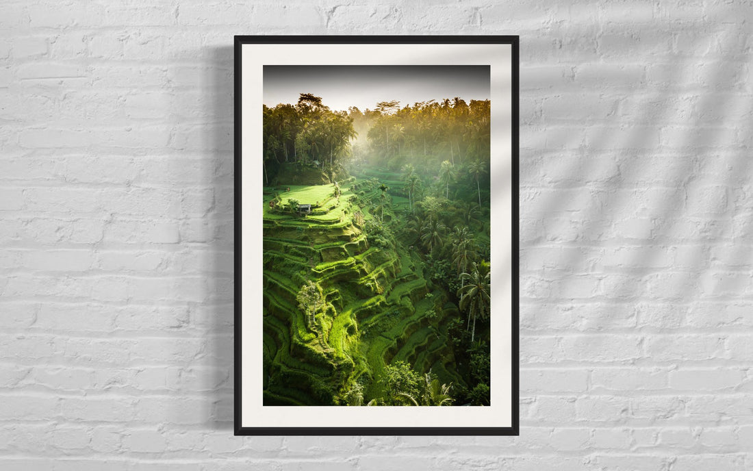 Tegalalang Rice Terrace, Ubud, Bali 2