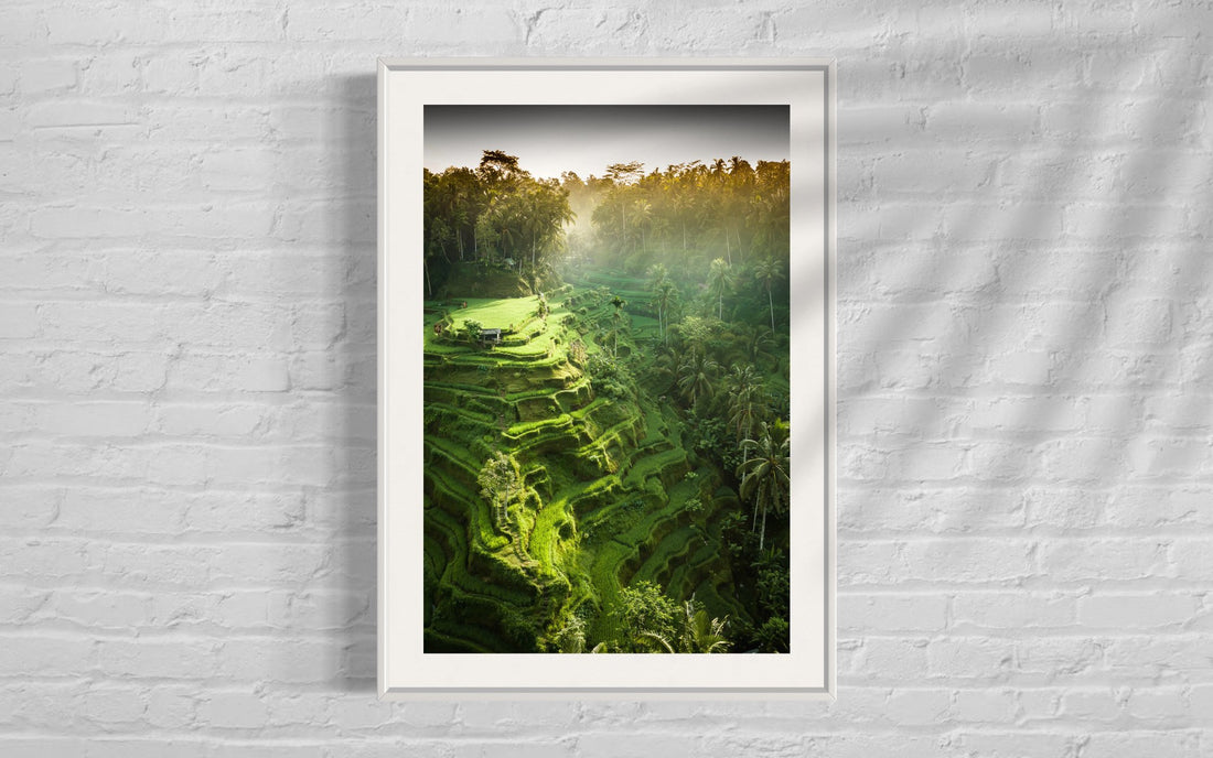 Tegalalang Rice Terrace, Ubud, Bali 2