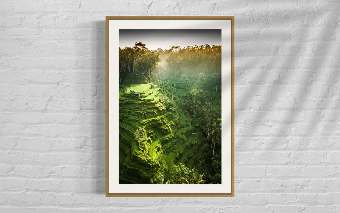 Tegalalang Rice Terrace, Ubud, Bali 2