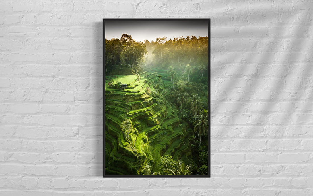 Tegalalang Rice Terrace, Ubud, Bali 2