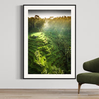 Tegalalang Rice Terrace, Ubud, Bali 2