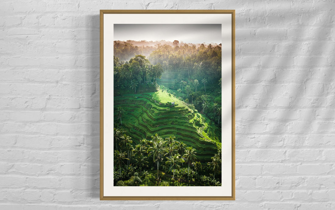 Tegalalang Rice Terrace, Ubud, Bali 6