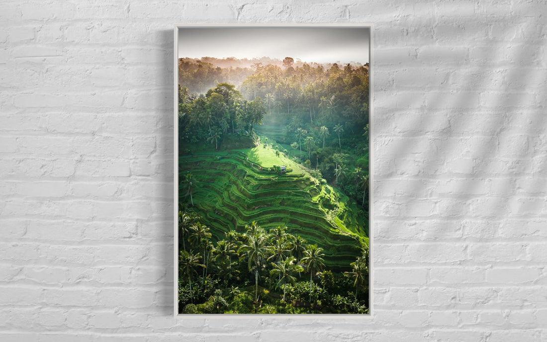 Tegalalang Rice Terrace, Ubud, Bali 6