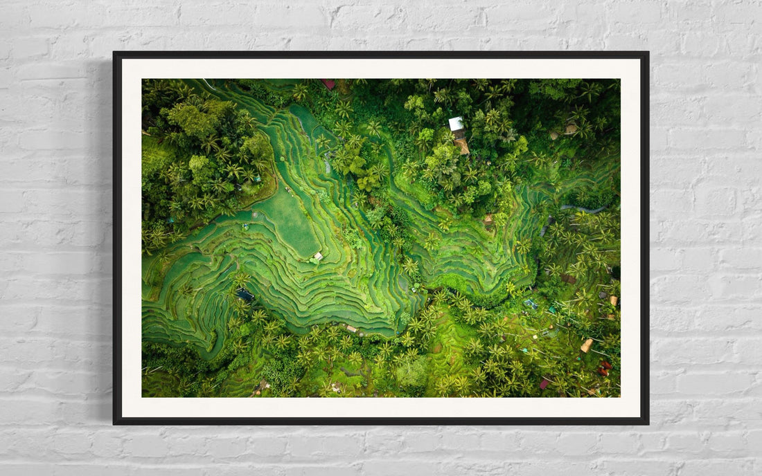 Tegalalang Rice Terrace, Ubud, Bali 1