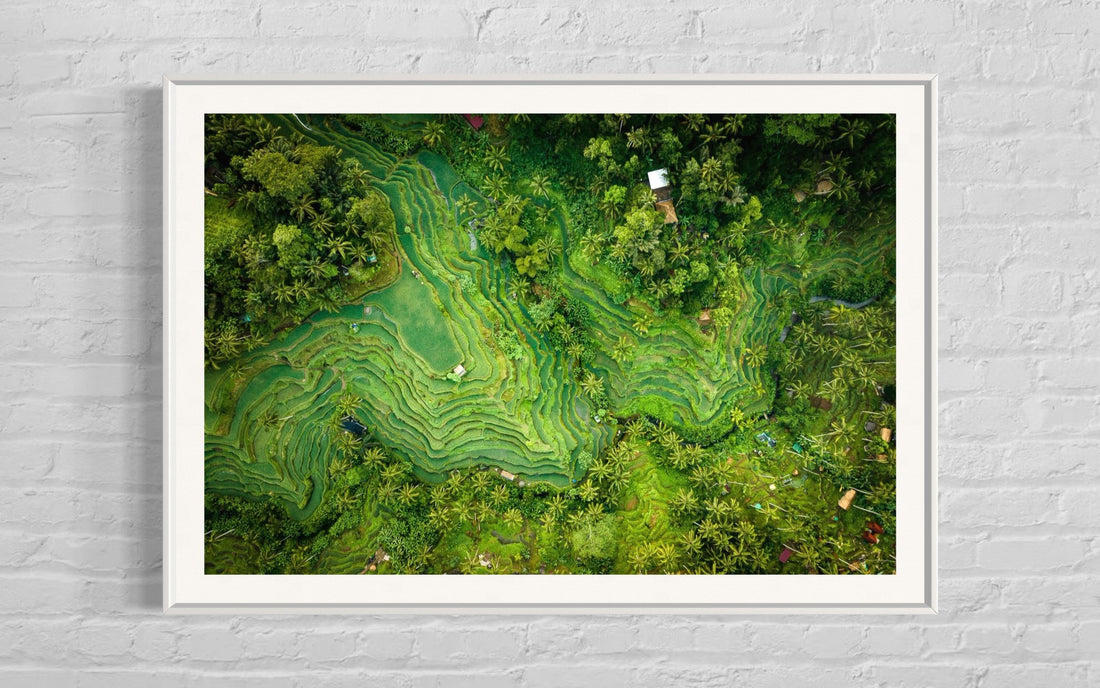 Tegalalang Rice Terrace, Ubud, Bali 1