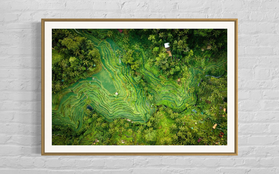 Tegalalang Rice Terrace, Ubud, Bali 1