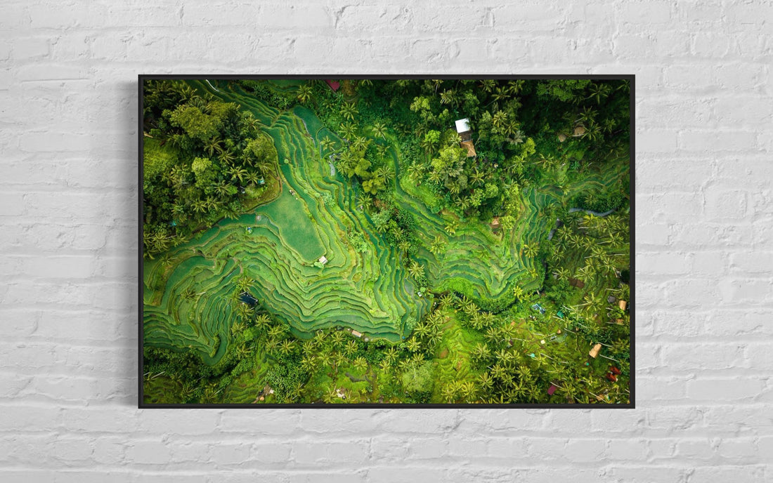 Tegalalang Rice Terrace, Ubud, Bali 1