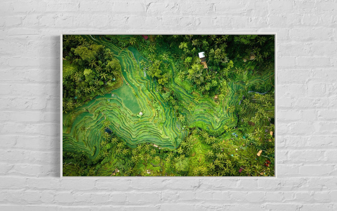 Tegalalang Rice Terrace, Ubud, Bali 1