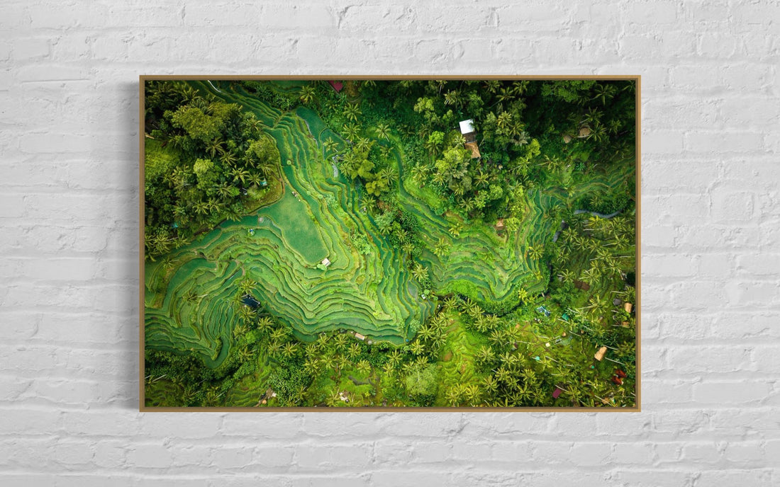 Tegalalang Rice Terrace, Ubud, Bali 1