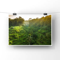 Tegalalang Rice Terrace, Ubud, Bali 7