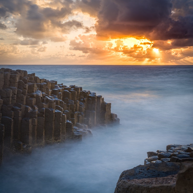 Fingal Head Giant's Causeway at Sunrise: Booninybah Echidna Spirit in Northern NSW 2