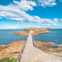 6616ab8ed8c3c268632d0a1d_bare-island_1753767855376.jpg