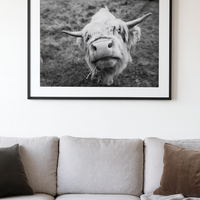6616ab8ed8c3c268632d0a1d_black-and-white-highland-cowq_1765444939886.png