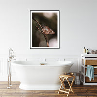 6616ab8ed8c3c268632d0a1d_blue-tiger-butterfly-print-black-frame_1763359406887.jpg