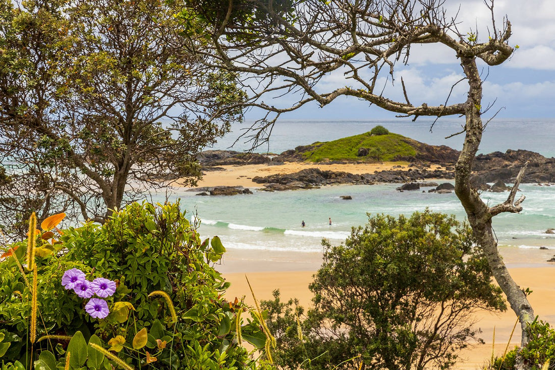 Calpyso - Sawtell NSW