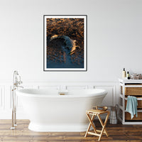 6616ab8ed8c3c268632d0a1d_crocodile-lazing-on-a-riverbank-black-frame_1763360380842.jpg