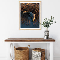 6616ab8ed8c3c268632d0a1d_crocodile-lazing-on-a-riverbank-wood-frame_1763360380842.jpg