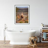 6616ab8ed8c3c268632d0a1d_emu-with-chicks-broken-hill-nsw-black-frame_1765693690989.jpg