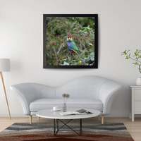 6616ab8ed8c3c268632d0a1d_eye-contact-red-capped-parrot-mock-up_1765861968355.png