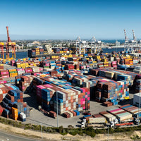 6616ab8ed8c3c268632d0a1d_freo-dock-5-new-1-of-1-_1759625267259.jpg