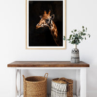6616ab8ed8c3c268632d0a1d_giraffe-at-taronga-zoo-wood-frame_1765693815027.jpg