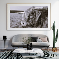 6616ab8ed8c3c268632d0a1d_highland-bull-monochrome-mockup_1785069124642.png