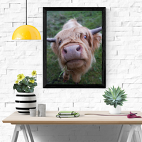 6616ab8ed8c3c268632d0a1d_highland-cow-looking-at-camera_1765527617449.png