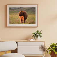 6616ab8ed8c3c268632d0a1d_highland-scratching-tongue-out-mockup_1785159412370.png