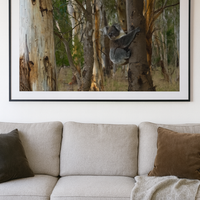 6616ab8ed8c3c268632d0a1d_koala-at-sa_1765445516685.png