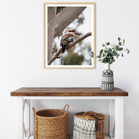 6616ab8ed8c3c268632d0a1d_kookaburra-in-a-tree-wood-frame_1763361335614.jpg