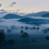 6616ab8ed8c3c268632d0a1d_misty-mountain-hop-web_1757488064825.jpg