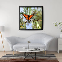 6616ab8ed8c3c268632d0a1d_monarch-butterfly-series-four-mockup_1766316501101.jpg