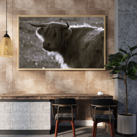 6616ab8ed8c3c268632d0a1d_portrait-monochrome-half-body-mockup_1785159103644.png