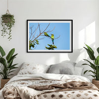 6616ab8ed8c3c268632d0a1d_rainbow-bee-eaters-on-branch-black-frame_1765689248090.jpg
