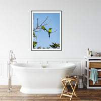 6616ab8ed8c3c268632d0a1d_rainbow-bee-eaters-portrait-black-frame_1765689336456.jpg