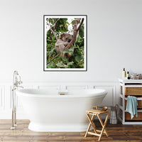 6616ab8ed8c3c268632d0a1d_sleeping-koala-black-frame_1763360890833.jpg