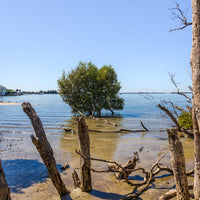 6616ab8ed8c3c268632d0a1d_still-waters-at-taren-point-1_1775994467582.jpg