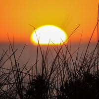 6616ab8ed8c3c268632d0a1d_sunset-over-the-sand-dunes-in-western-australia_1768026201662.jpg