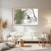6616ab8ed8c3c268632d0a1d_superb-fairywren-at-platypus-flat-nsw-wood-frame_1765689537327.jpg