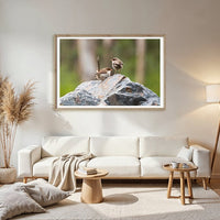 6616ab8ed8c3c268632d0a1d_superb-fairywren-duo-at-platypus-flat-nsw-wood-frame_1765689646048.jpg
