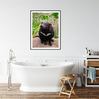 6616ab8ed8c3c268632d0a1d_tasmanian-devil-portrait-black-frame_1765689729202.jpg